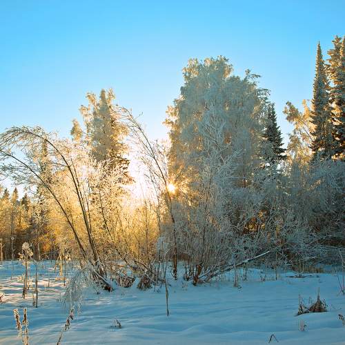 Photo #11710110