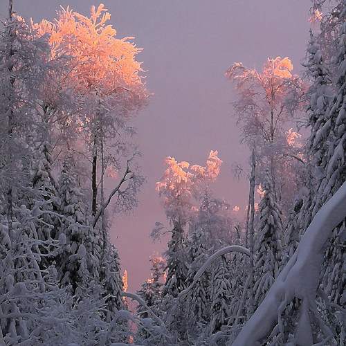 Photo #11710114
