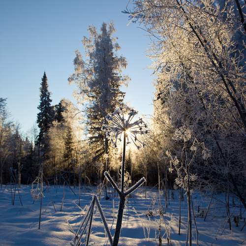 Photo #11710115