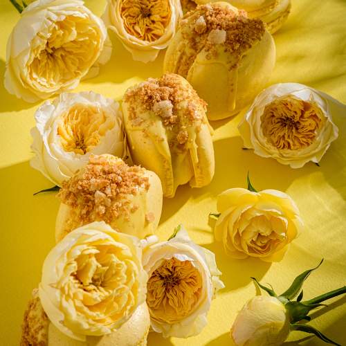 Макароны. Желтый