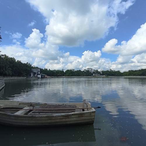 Photo #11710273