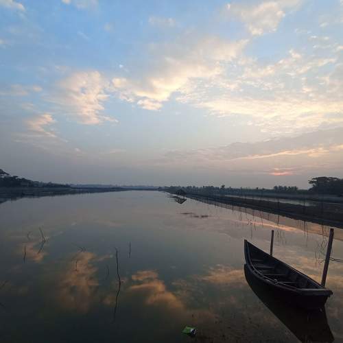 Photo #11710274