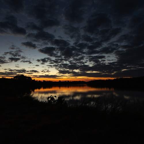 Photo #11710407