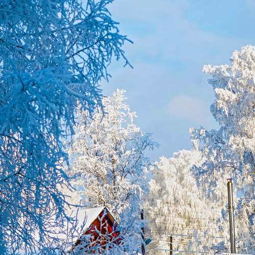 Photo #11710501