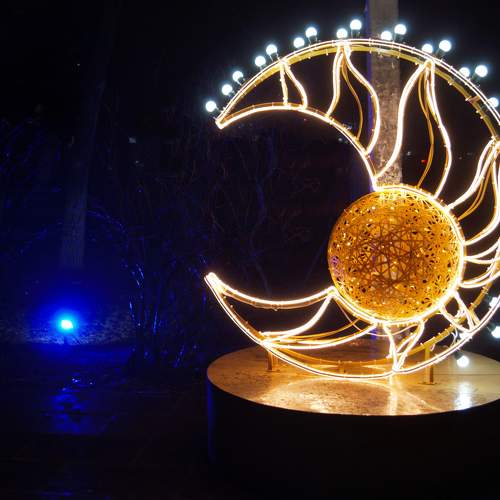 Photo #11710599