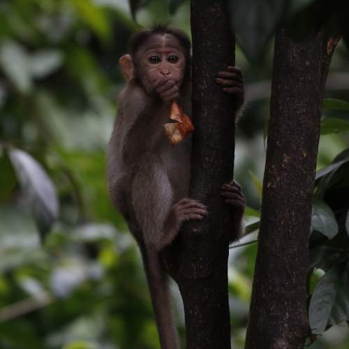 Photo #11710608
