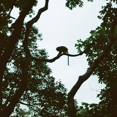 Photo #11710647