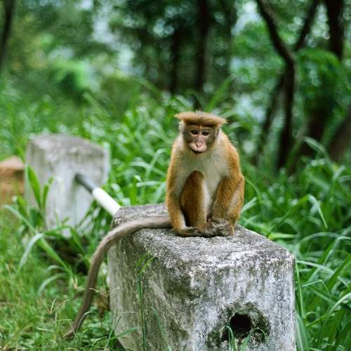 Photo #11710652