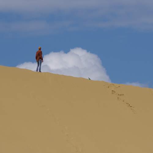 Photo #11710685