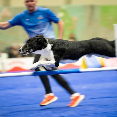 Photo #11710788