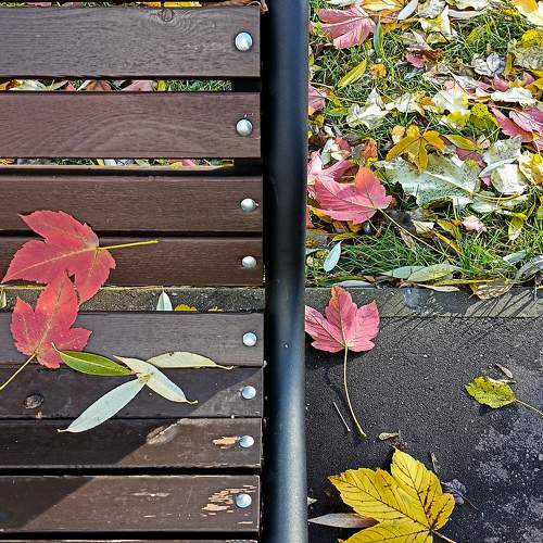 Photo #11710869