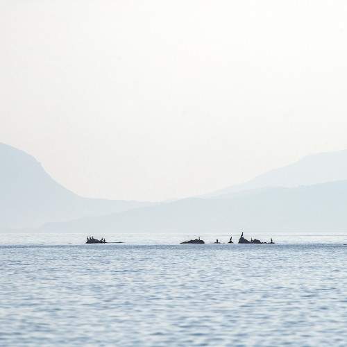 Photo #11710930