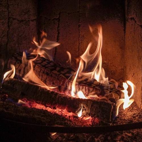 Photo #11710975