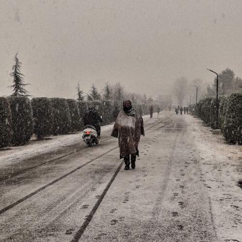 Photo #11711049