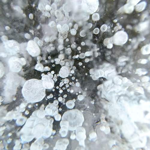 Photo #11711088