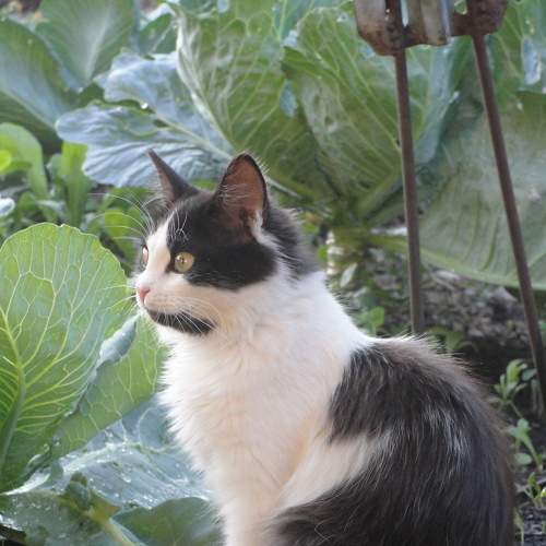 Photo #11711326