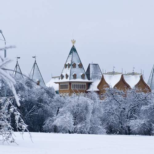 Photo #11711412