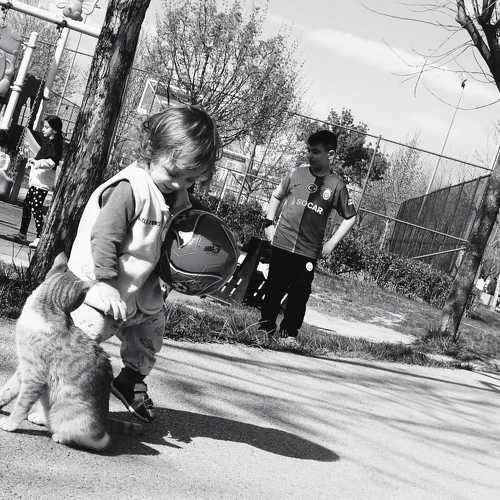 Photo #11711681