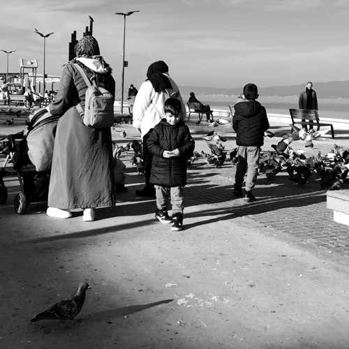 Photo #11711682