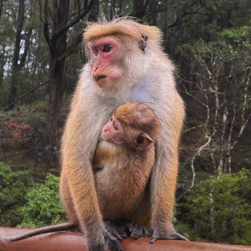 Photo #11711725