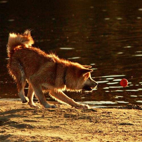 Photo #11711937