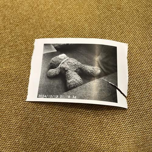Photo #11711938