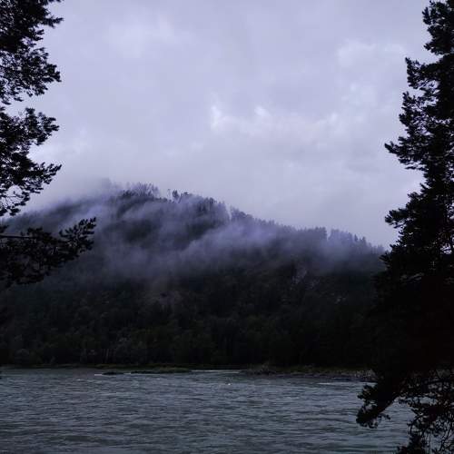 Photo #11712072