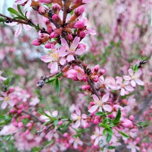 Photo #11712080