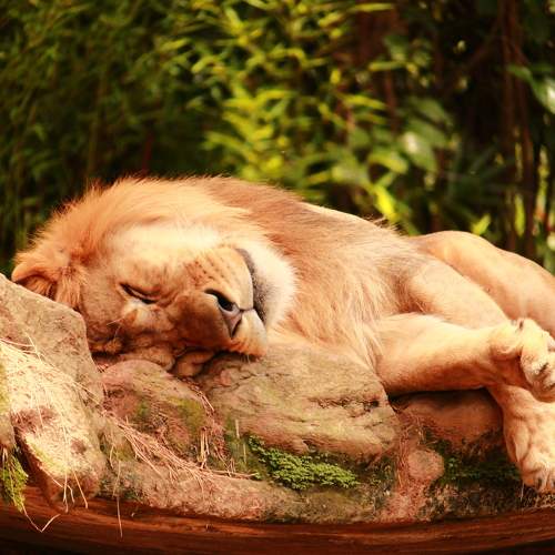 Photo #11712143