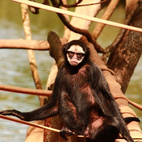 Photo #11712149