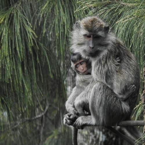 Photo #11712331