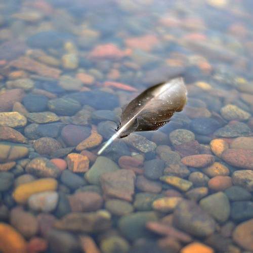 Photo #11712602