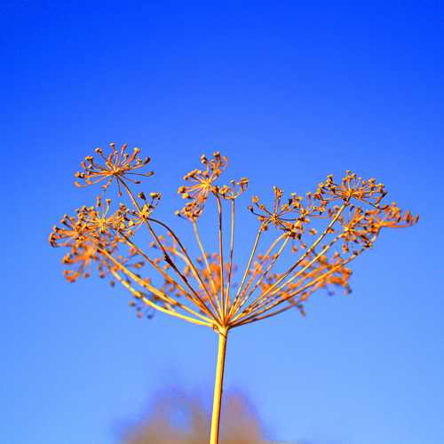 Photo #11712956