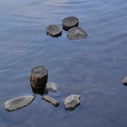 Photo #11713027