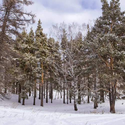 Photo #11713082