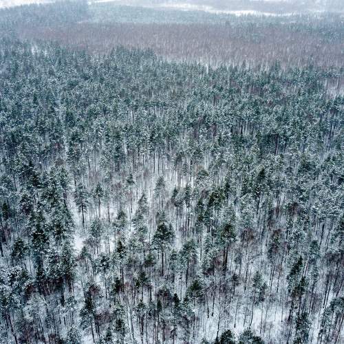 Photo #11713344