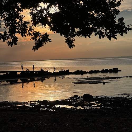 Photo #11713516