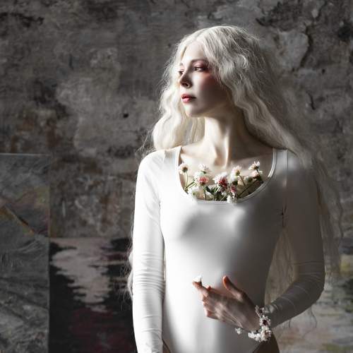 Photo #11713629