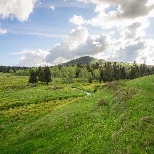 Photo #11713812