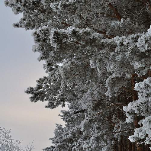 Photo #11713964
