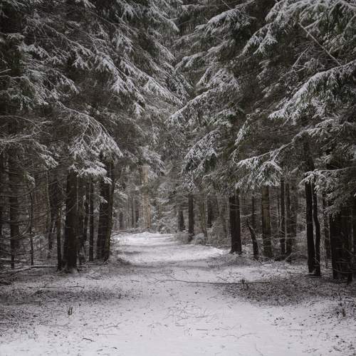 Photo #11713979