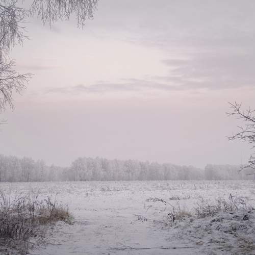 Photo #11713985