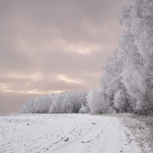 Photo #11714018