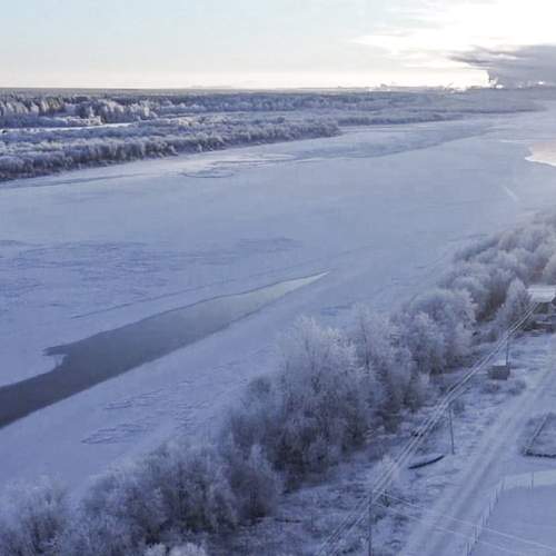 Photo #11714145