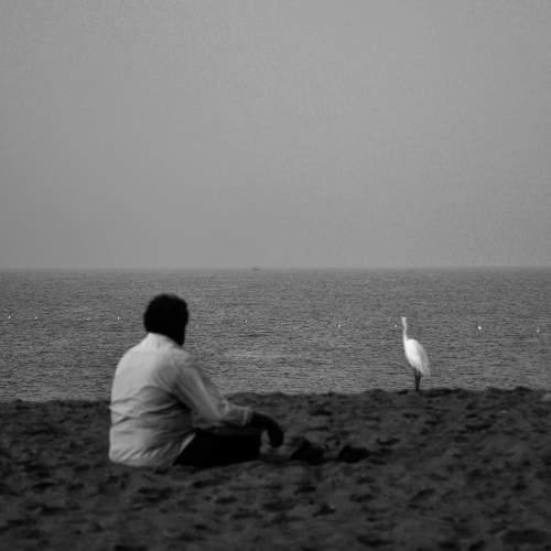 Photo #11714512