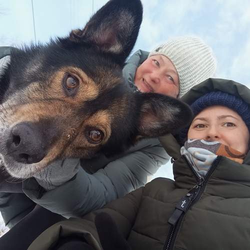 Photo #11714584