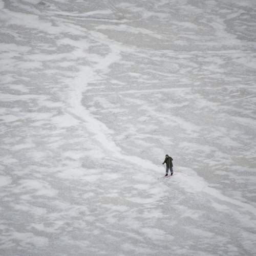 Photo #11714617