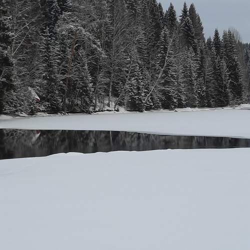Photo #11714698