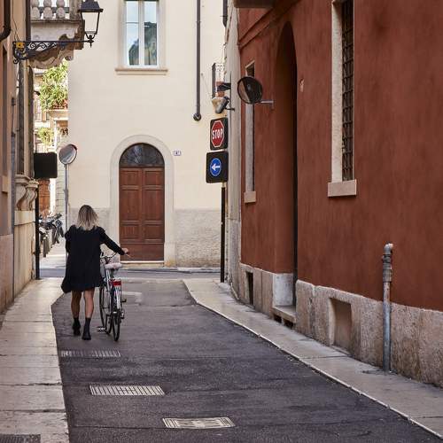 Photo #11714797