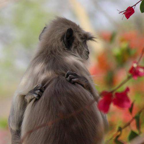 Photo #11714818